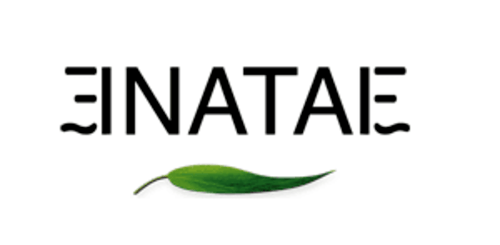 logo enatae à Lille